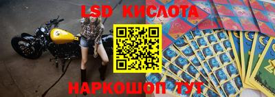 бошки Донской