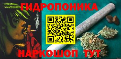 сатива Дубна