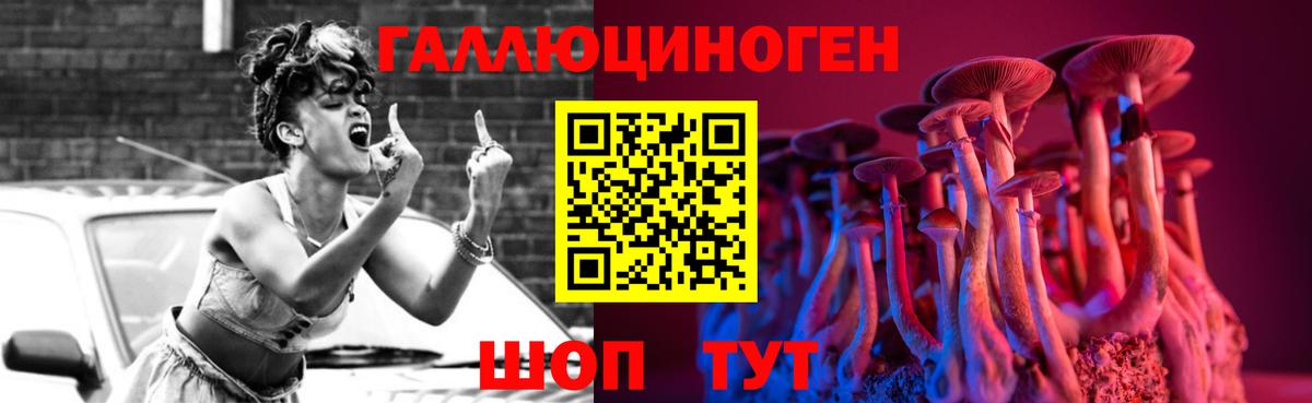 Псилоцибиновые грибы Psilocybe Минеральные Воды