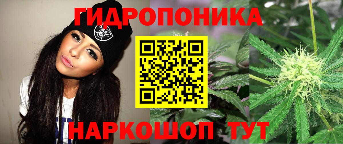 Канабис планчик  Канабис тримм  Минеральные Воды  Вход с VPN 